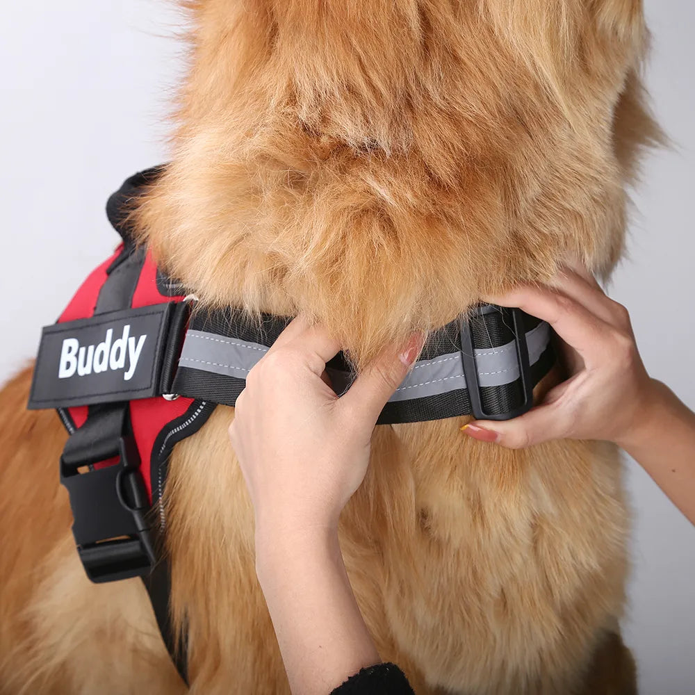 Tailor Made No-Pull Pooch Harness