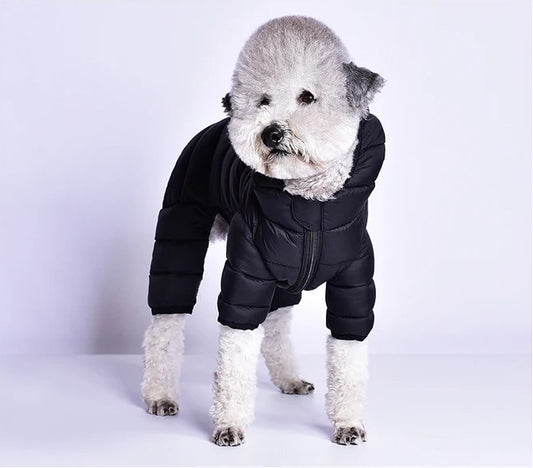 Street Puffer Jacket