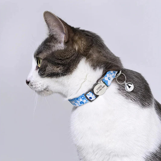 Kitty Signature Collar