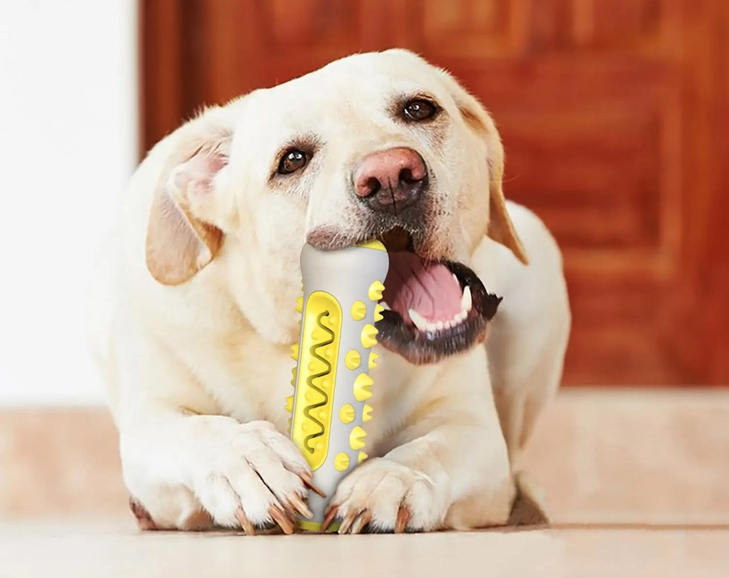 Chew Tooth Brush Toy