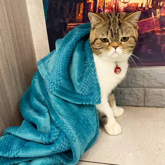 PurrFect Blanket Blue