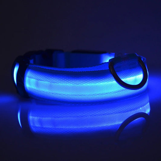 Glowy Canine Collars