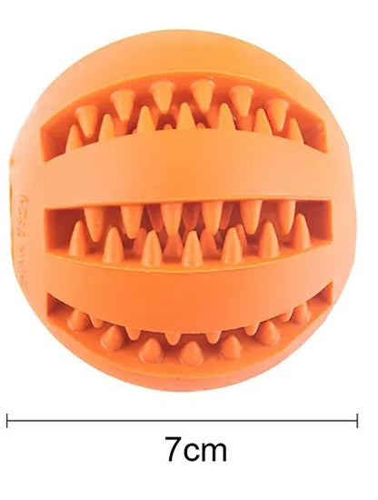 Interactive Chew Ball