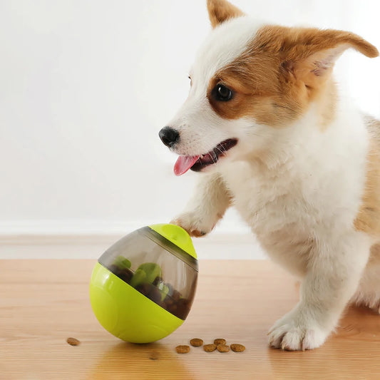 Snack Sphere Toy