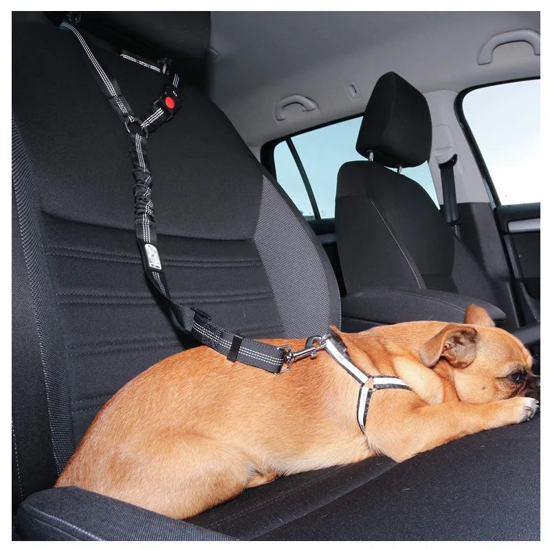 Paws Safe Seatbelt