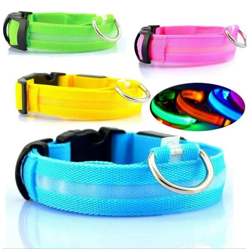 Glowy Canine Collars